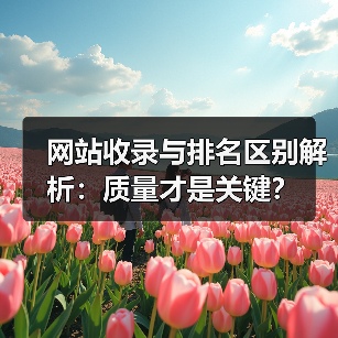 网站收录与排名区别解析：质量才是关键？（图2）