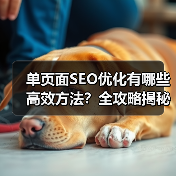 单页面SEO优化有哪些高效方法？全攻略揭秘（图1）