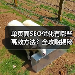 单页面SEO优化有哪些高效方法？全攻略揭秘（图2）