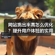 网站跳出率高怎么优化？提升用户体验的实用技巧（图4）
