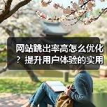 网站跳出率高怎么优化？提升用户体验的实用技巧（图3）