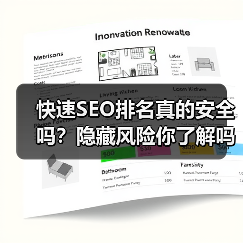 快速SEO排名真的安全吗？隐藏风险你了解吗？（图2）