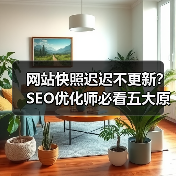 网站快照迟迟不更新？SEO优化师必看五大原因！（图3）