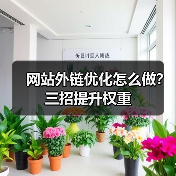 网站外链优化怎么做？三招提升权重（图4）