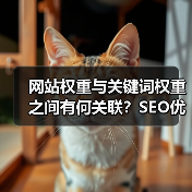 网站权重与关键词权重之间有何关联？SEO优化必知（图1）