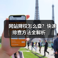网站降权怎么查？快速排查方法全解析（图4）