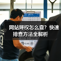 网站降权怎么查？快速排查方法全解析（图3）