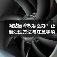 网站被降权怎么办？正确处理方法与注意事项（图3）