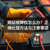 网站被降权怎么办？正确处理方法与注意事项（图1）