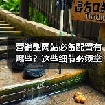 营销型网站必备配置有哪些?这些细节必须掌握!(图2) 营销型网站必备配置有哪些?这些细节必须掌握!(图2)