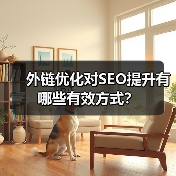 外链优化对SEO提升有哪些有效方式？（图1）