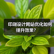 印刷设计网站优化如何提升效果？（图4）