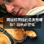 网站挂黑链的危害有哪些？站长必警惕（图4）