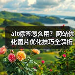 alt标签怎么用？网站优化图片优化技巧全解析（图2）