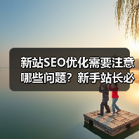 新站SEO优化需要注意哪些问题？新手站长必看的5大要点（图3）