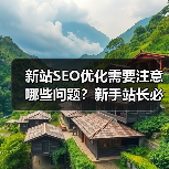 新站SEO优化需要注意哪些问题？新手站长必看的5大要点（图1）