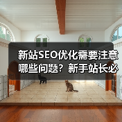 新站SEO优化需要注意哪些问题？新手站长必看的5大要点（图2）