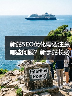 新站SEO优化需要注意哪些问题？新手站长必看的5大要点（图4）