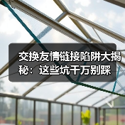 交换友情链接陷阱大揭秘：这些坑千万别踩（图1）