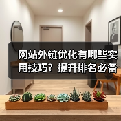 网站外链优化有哪些实用技巧？提升排名必备指南（图3）