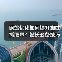 网站优化如何提升蜘蛛抓取量？站长必备技巧（图3）