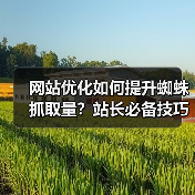 网站优化如何提升蜘蛛抓取量？站长必备技巧（图2）