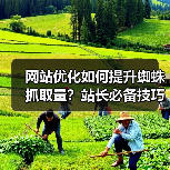 网站优化如何提升蜘蛛抓取量？站长必备技巧（图1）